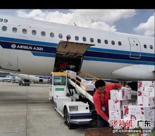 南航物流攜手廣東省農(nóng)業(yè)農(nóng)村廳助力‘荔’啟航，廣州物流賦能現(xiàn)代農(nóng)業(yè)新篇章